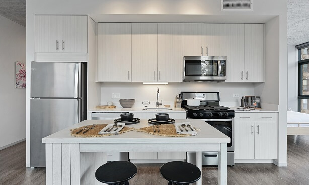 South Loop Apartment Kitchen