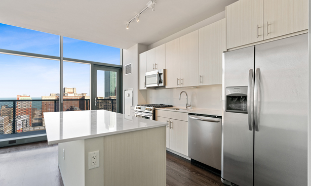 Chicago South Loop Duplex Apartment Kitchen
